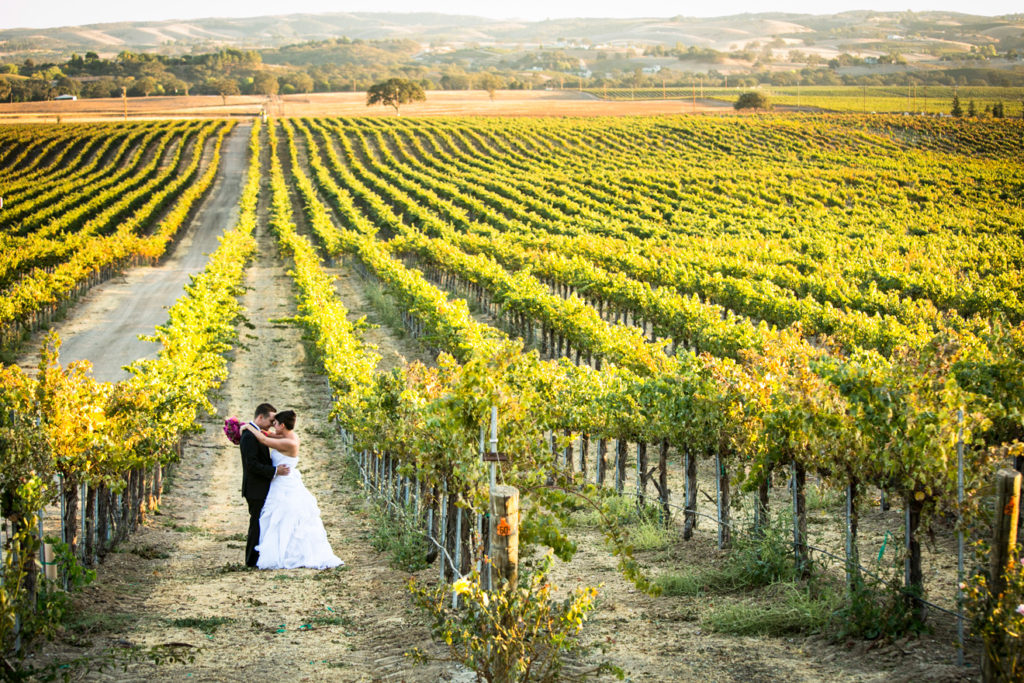 los olivos vineyard wedding photography