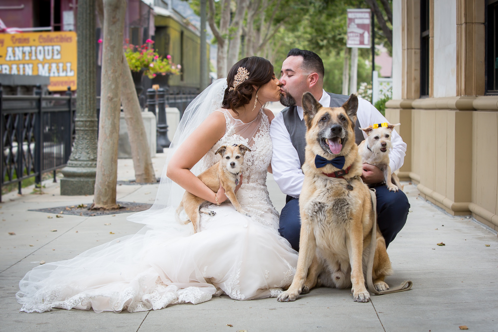bride and groom with their 3 dogs on their wedding day in Ventura
