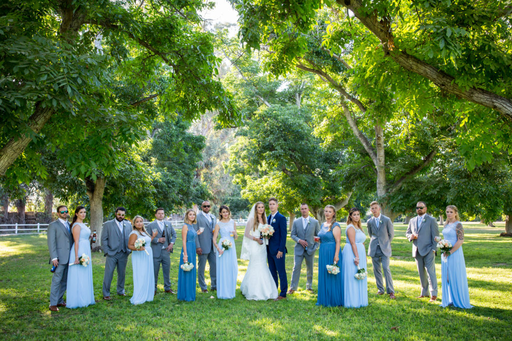 bride groom and wedding party walnut grove wedding photography