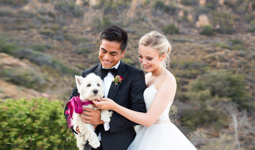bride and groom holding a white dog at their wedding