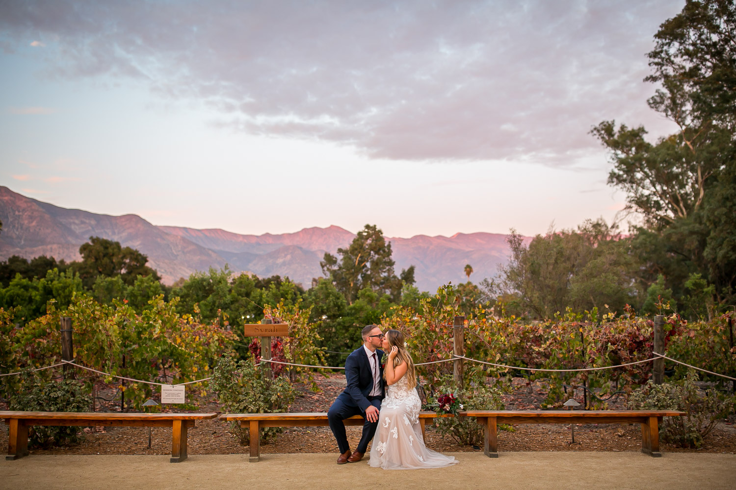 bride and groom sitting in front of vineyard