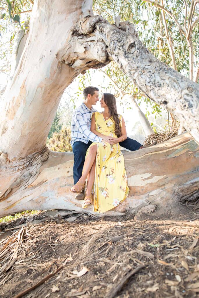 couple sitting on a tree santa barbara douglas family preserve