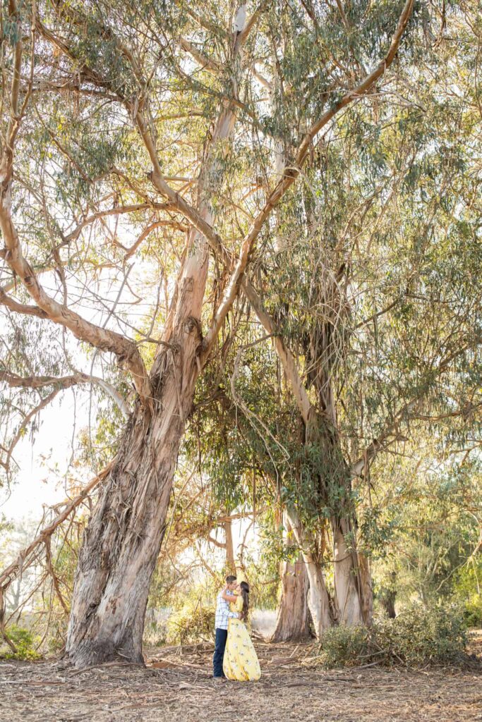 couple walking in eucalyptus trees santa barbara engagement session