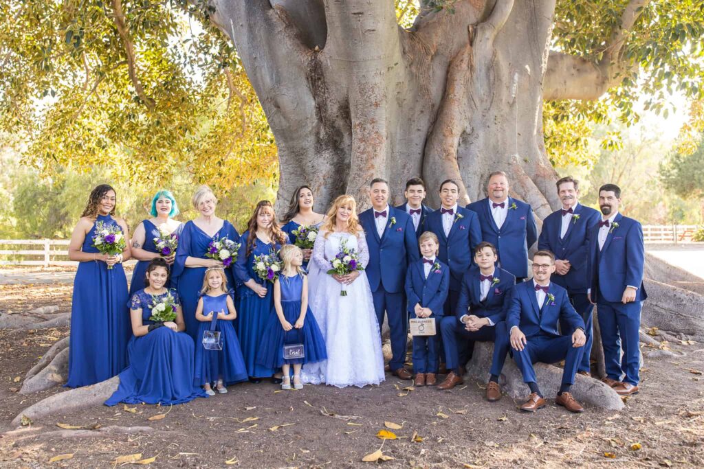 bridal party at camarillo ranch giant tree