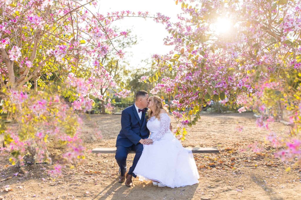 wedding couple sitting between pink flowered trees