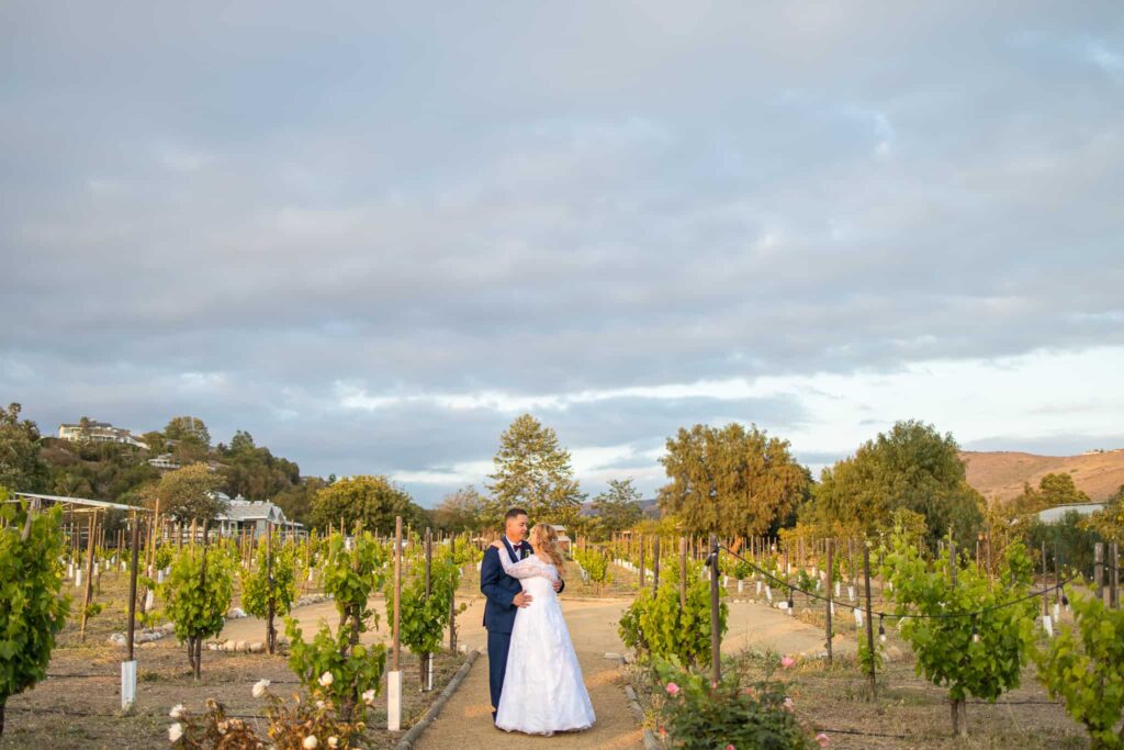 wedding couple standing in a vineyard