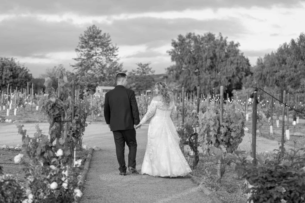 wedding couple walking in a vineyard
