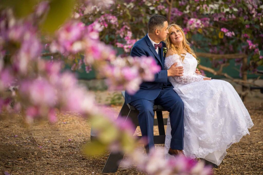 wedding couple sitting by pink flowered trees