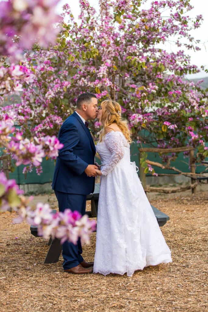 wedding couple standing by pink flowered trees
