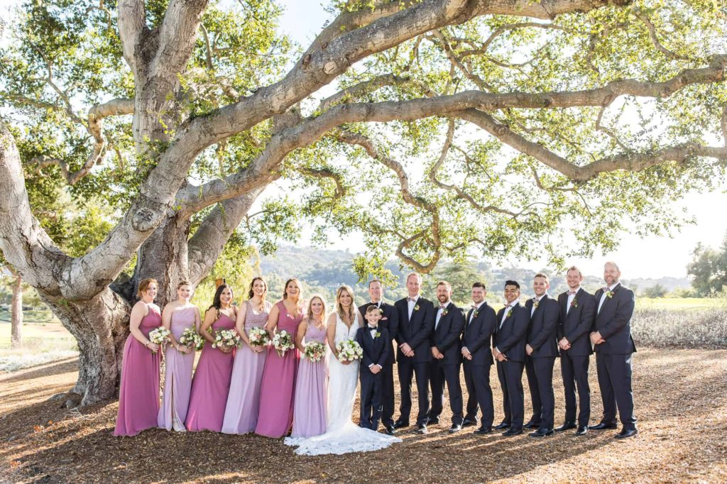 wedding party in pink and lavender under an oak tree