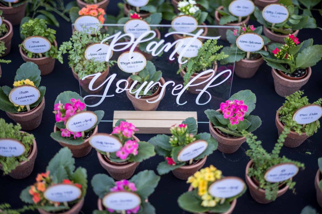 potted plant wedding favors at los robles greens