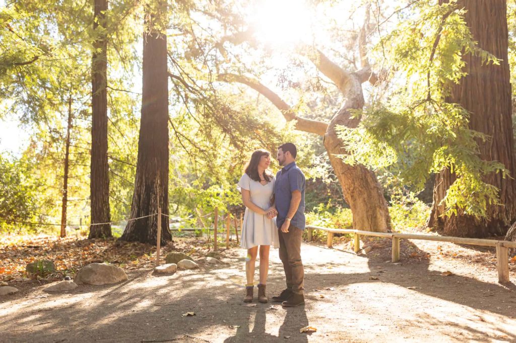 Botanical Gardens in Santa Barbara engagement session with man and woman holding hands as the sunsets behind the couple through the trees