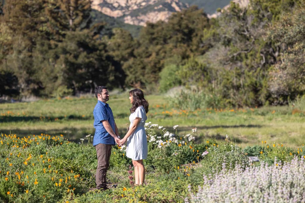 meadow engagement photos in Santa Barbara with man and woman holding hands while facing each other with wildflowers surrounding them
