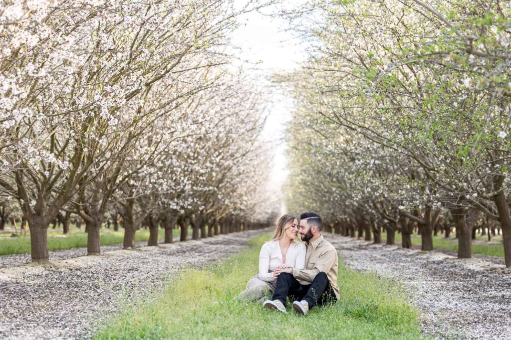 engaged couple sitting in a green aisle of an almond orchard with the tall blossoming trees overhead as the couple holds hands and smile at one another