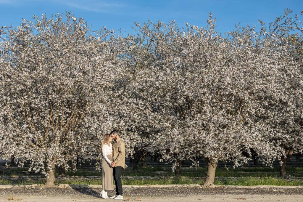 line of almond trees blossoming with man and woman holding hands in front of them for their spring engagement session