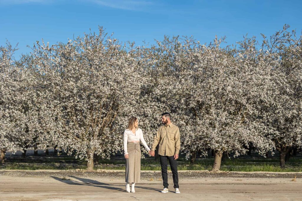 holding hands in front of a row of blossoming trees in Central Valley California for engagement photos