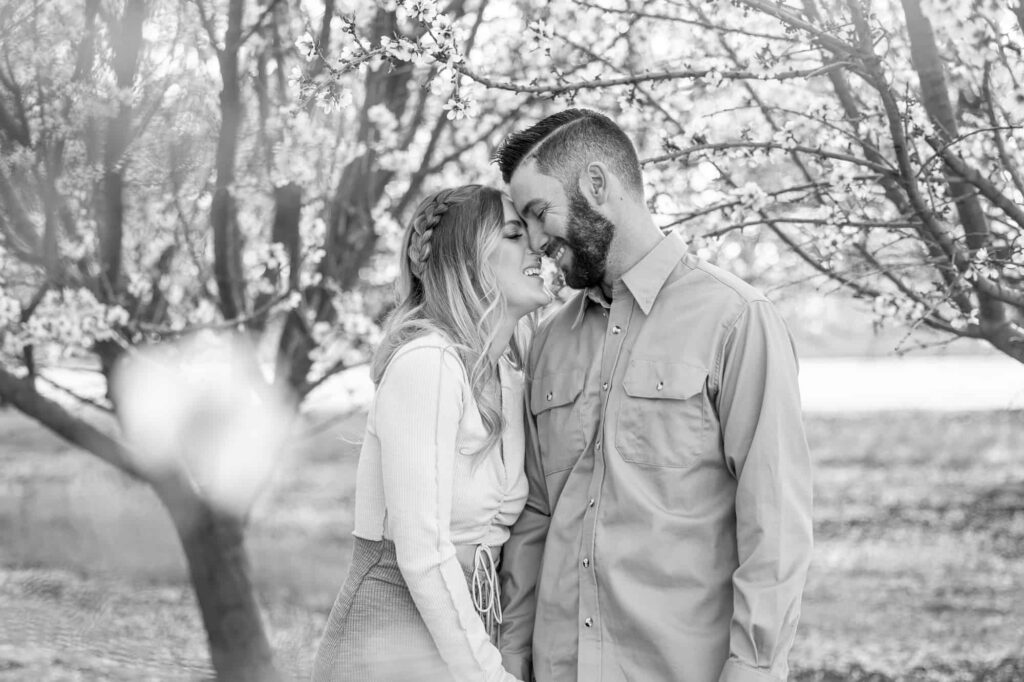 black and white engagement almond orchard spring engagement pictures with man and woman holding hands, leaning into each other and laughing