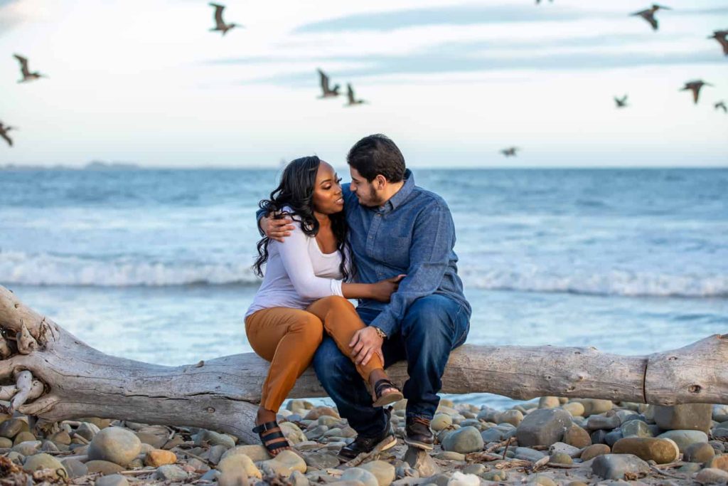 mixed race couple sitting on beachwood at the beach with birds flying behind them