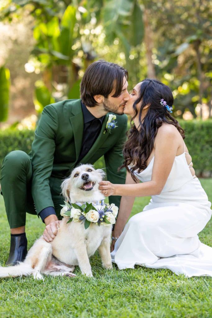 bride and groom kissing as they sit next to their dog on their outdoor wedding day in Ventura County