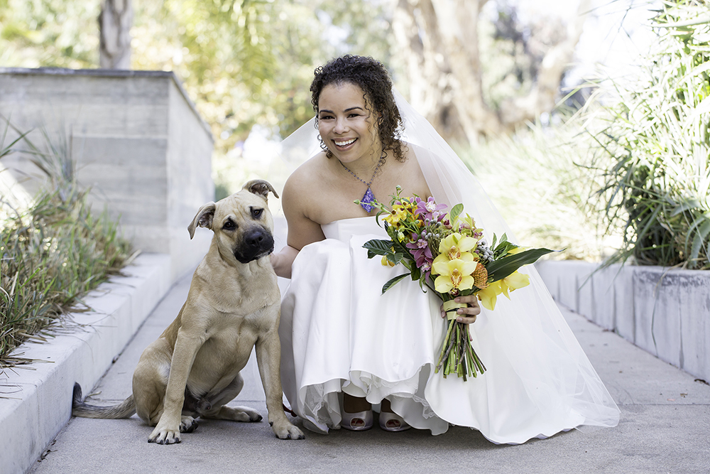 bride with her dog ventura wedding photography